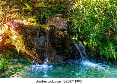 Stream With Clear Water Flowing Among Lush Tropical Vegetation