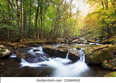 Stream in fall colors, the great smokey mountains national park. Tremont area