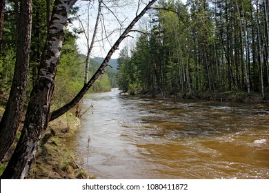 Stream of the fast river flows direct to nowhere between the trees and bushes