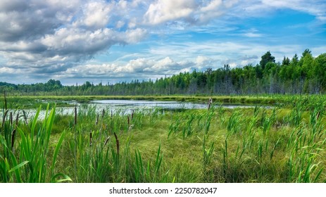 A stream fed pond surrounded by healthy, natural wetlands and forest in the Eastern Townships of southern Quebec, Canada. - Shutterstock ID 2250782047