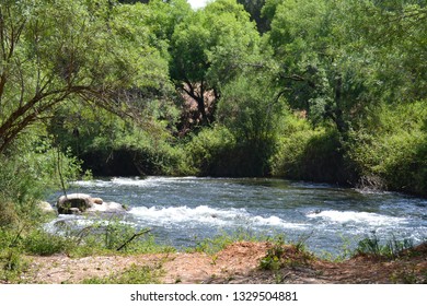 Stream with flowers