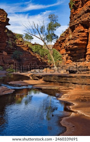 Stream flowing between red rocks in the Kalamina Gorge, Karijini National Park, Western Australia

