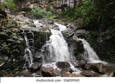 Stream Flowing In Nightcap National Park