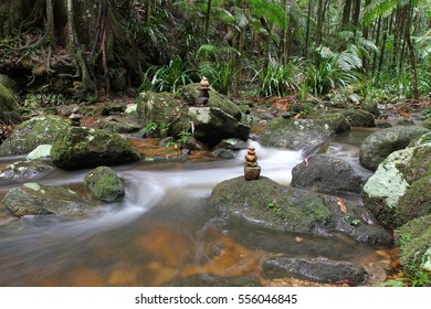 Stream Flowing In Nightcap National Park