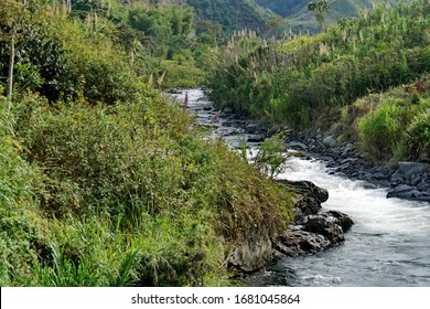 Stream flowing through the cloud forest at El Refugio lodge near Santa Rosa, in the Intag Valley, Ecuador