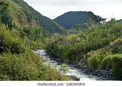 Stream flowing through the cloud forest at El Refugio lodge near Santa Rosa, in the Intag Valley, Ecuador