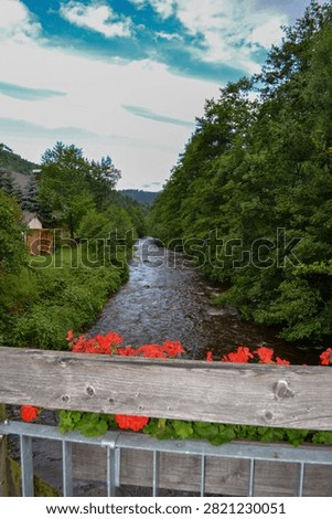 Stream flowing under a bridge