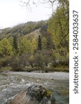 Stream flows between mountains in autumn