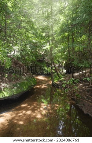 A stream flows gently through Dismal Canyon in Alabama. Green trees surround the water, and sunlight shines down through the leaves. Rocks line the banks of the stream, adding to the natural scenery.