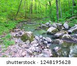 Stream flows through a dense woodland at Baxters Hollow State Natural Area in southern Wisconsin