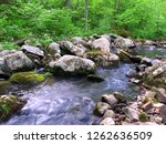 Stream flows through a dense woodland at Baxters Hollow State Natural Area in southern Wisconsin