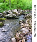 Stream flows through a dense woodland at Baxters Hollow State Natural Area in southern Wisconsin