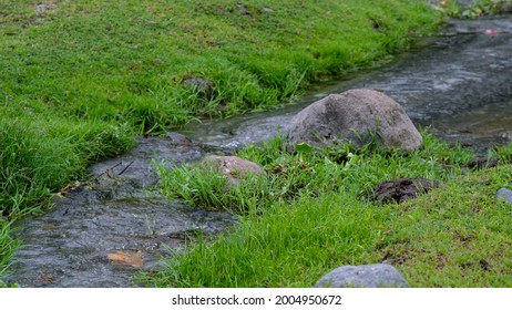 A stream flows through a grassy field.