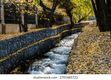 Stream flows through a park with stone banks, surrounded by trees displaying autumn colors and fallen leaves covering the ground