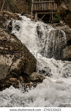 The stream flows wildly down the mountain