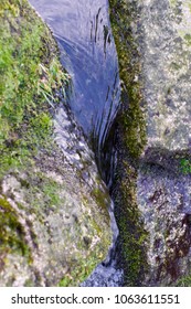 A stream in a forest.