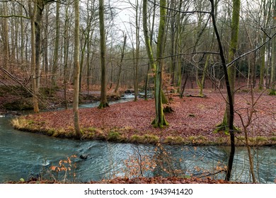 Stream In A Forest Near Aarhus, Denmark, At Winter Time