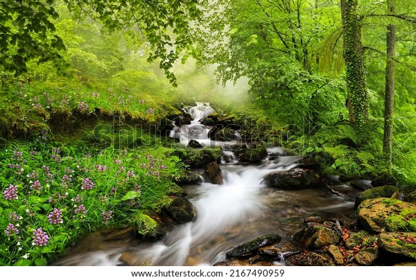 A stream in the forest.\
Waterfall stream in forest. Forest stream flow. Cold creek\
flowing