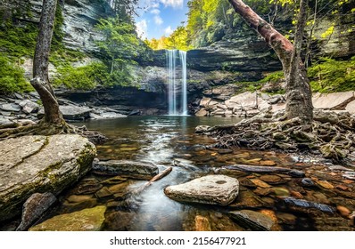 The stream of the forest waterfall. Waterfall stream in forest. Forest waterfall landscape. Waterfall pool in forest