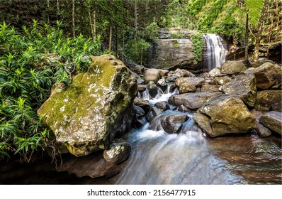 The stream of the forest waterfall. Forest waterfall stream. River waterfall in deep forest - Shutterstock ID 2156477915