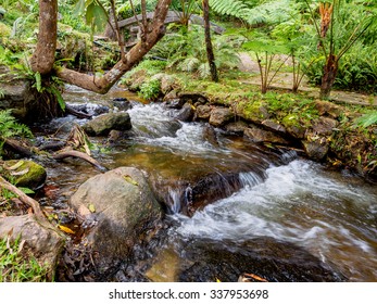 116,246 Garden stream Images, Stock Photos & Vectors | Shutterstock