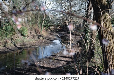 A Stream With Low Water An Rich Vegetation On The Banks