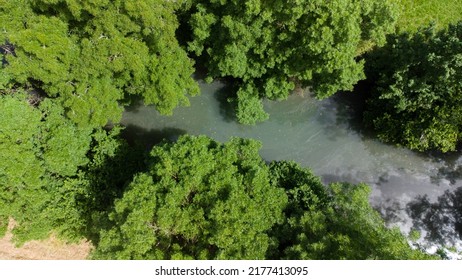 A Stream In The Middle Of Abundant Green Vegetation. Stream Running Through The Forest.