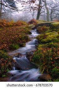 Stream in the mist