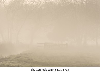 Stream and misty scene Wiltshire England 