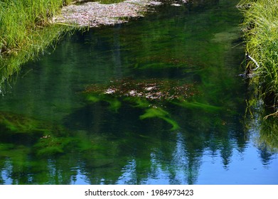 Stream In Mount Hood National Forest, Oregon