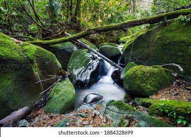 Stream In Mt Kinabalu National Park