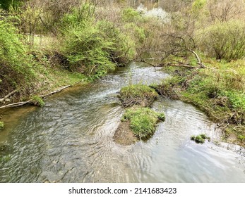 Stream Near The Allegheny Reservoir