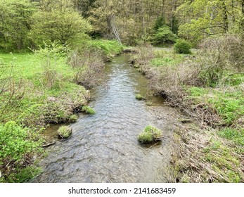 Stream Near The Allegheny Reservoir