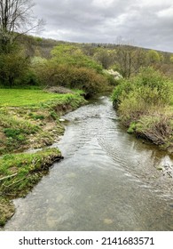 Stream Near The Allegheny Reservoir