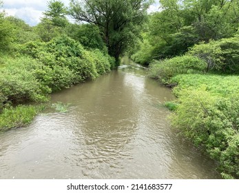 Stream Near The Allegheny Reservoir