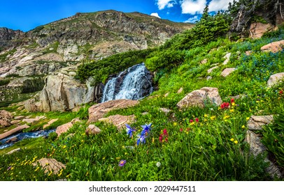 A stream on the mountainside. Mountain flowers. Mountain summer scene