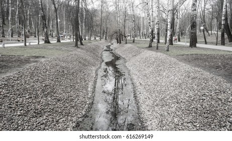 Stream in the park 