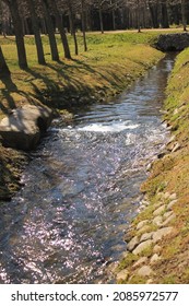 A stream in the park in spring