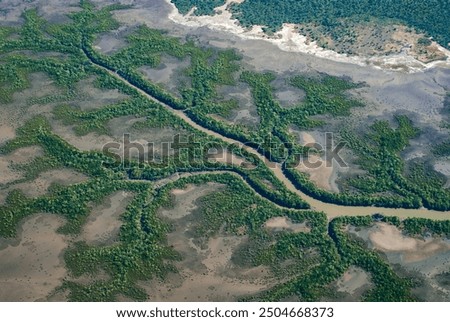 Stream pattern with Mandelbrot tree-like branches, East Kimberley, Western Australia, aerial view  