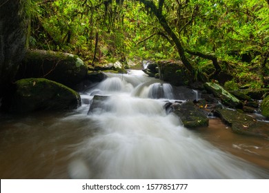 Stream In Ranomafana National Park, Madagascar