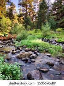 A stream and rocks at forest