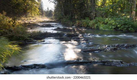 Stream Running Over Boulders In A Thick Maine Forest