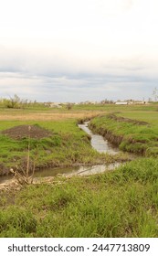 A stream running through a field