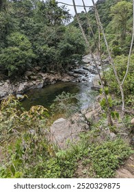 Stream running through remote forest