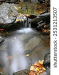 Stream with silky water and black stone bottom