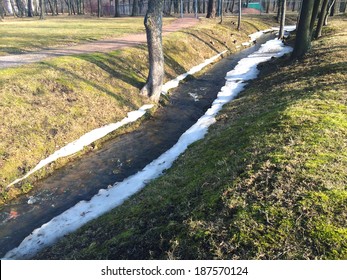 The stream in spring park flows in a frame of thawing snow 