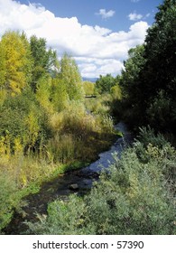 Stream, Taos, NM