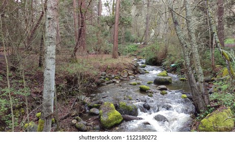 Stream Through the Park