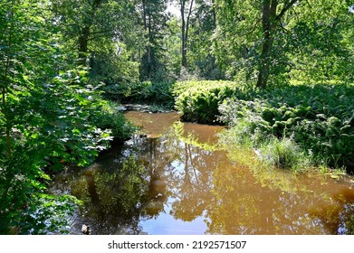 Stream Through Woodland Park In Orebro Sweden