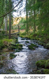 A Stream in a tranquil forest